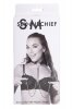 Sportsheets Sm amor collar with nipple jewelry